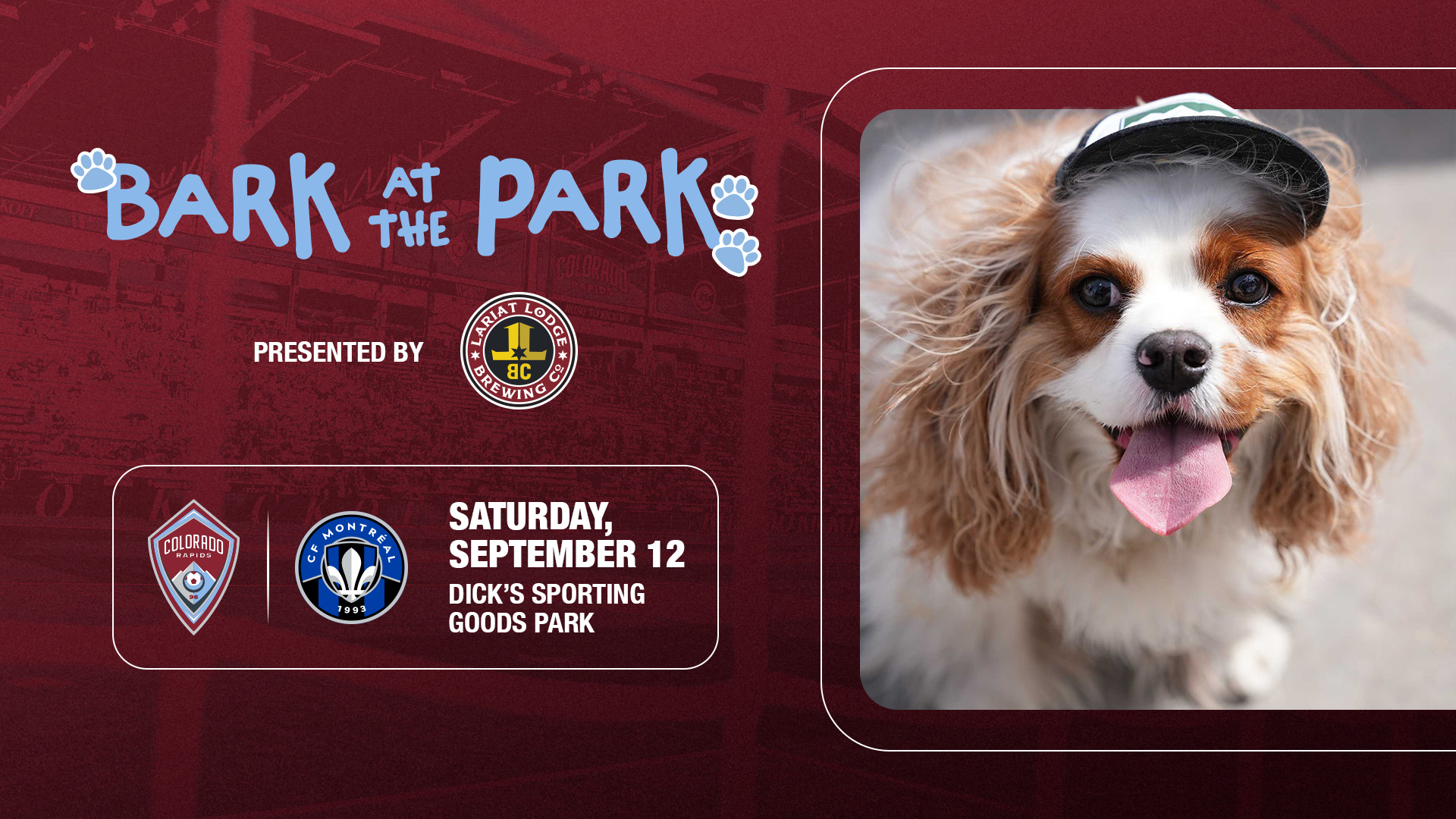 BARK AT THE PARK PRESENTED BY LARIAT LODGE